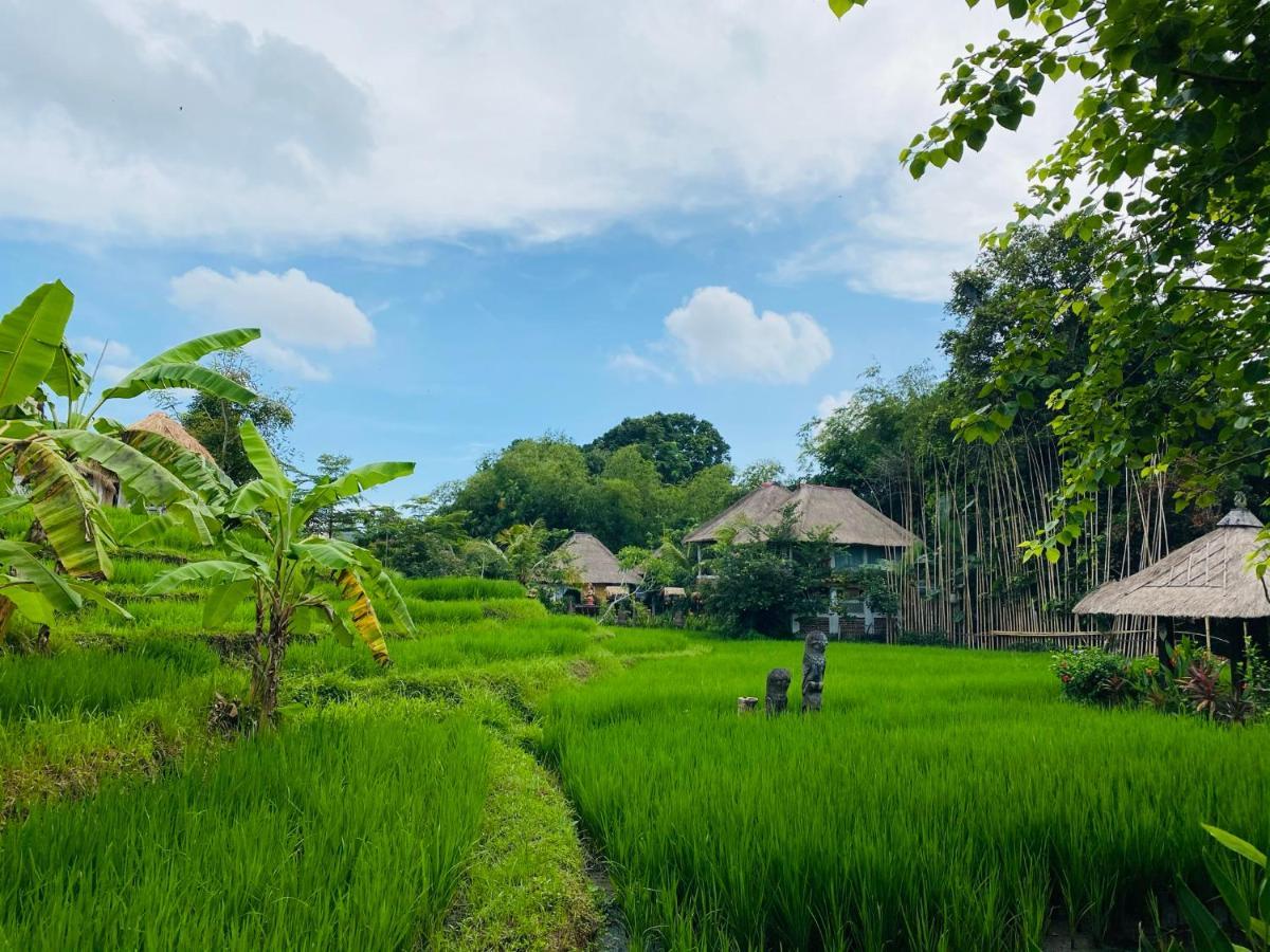 Kts Balinese Villas Canggu Εξωτερικό φωτογραφία