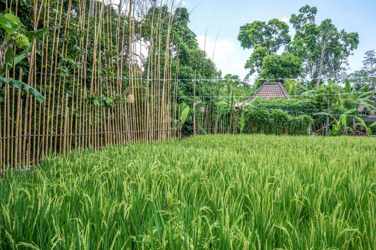 Kts Balinese Villas Canggu Εξωτερικό φωτογραφία